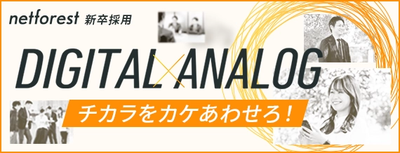 新卒採用