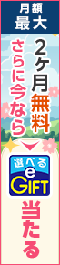 かもめインターネット月額最大2ヶ月無料 さらに今なら新生活応援キャンペーン実施中